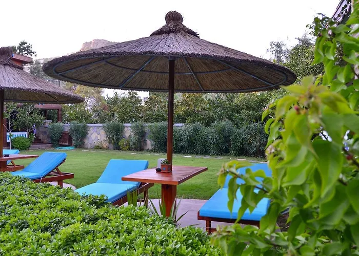 Liona & 3* Гюндоган