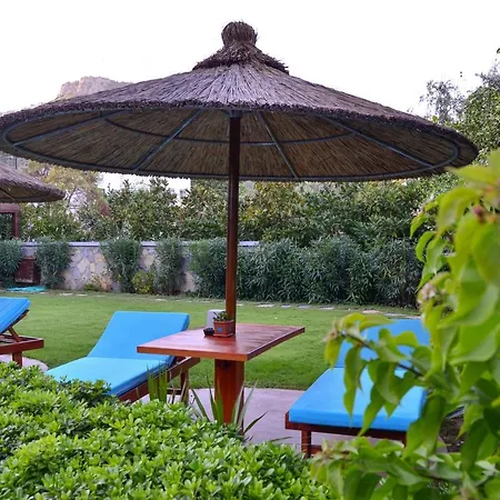 Liona & 3* Gundogan (Bodrum)