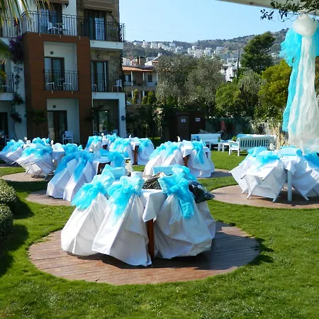 Liona & Otel
