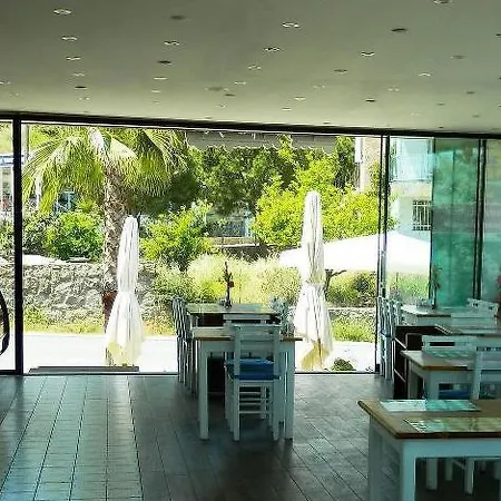 Liona & グンドーガン