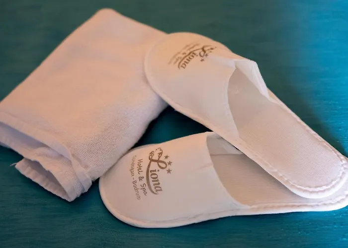 Otel Liona & Gündoğan